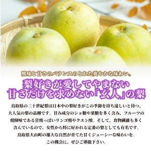 DS-02　二十世紀梨 5kg