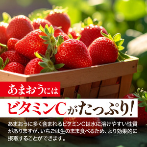 【1月上旬以降順次発送予定】博多あまおう 計約560g｜ONE GO あまおう as45-001