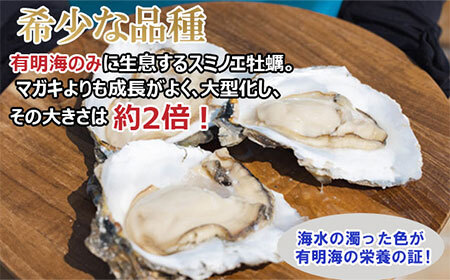【天然】有明海産住之江牡蠣　冷凍スミ☆スター 2kg 牡蠣 冷凍 殻付き B110-030