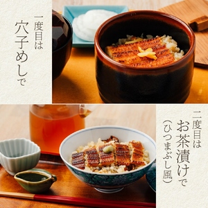 ごちそう穴子めし【2合セット】+出汁茶漬け付 | AN010