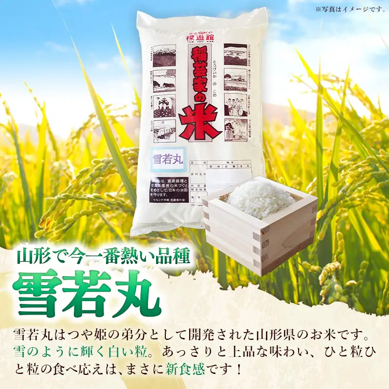 飯豊町産 雪若丸 白米 10kg (R7年産） - 数量限定 おこめ 米 ごはん 旨味 弾力 ゆきわかまる 単一米 銘柄 ブランド米 おすすめ 送料無料 マルシチ米穀 山形県 飯豊町【価格改定XA】