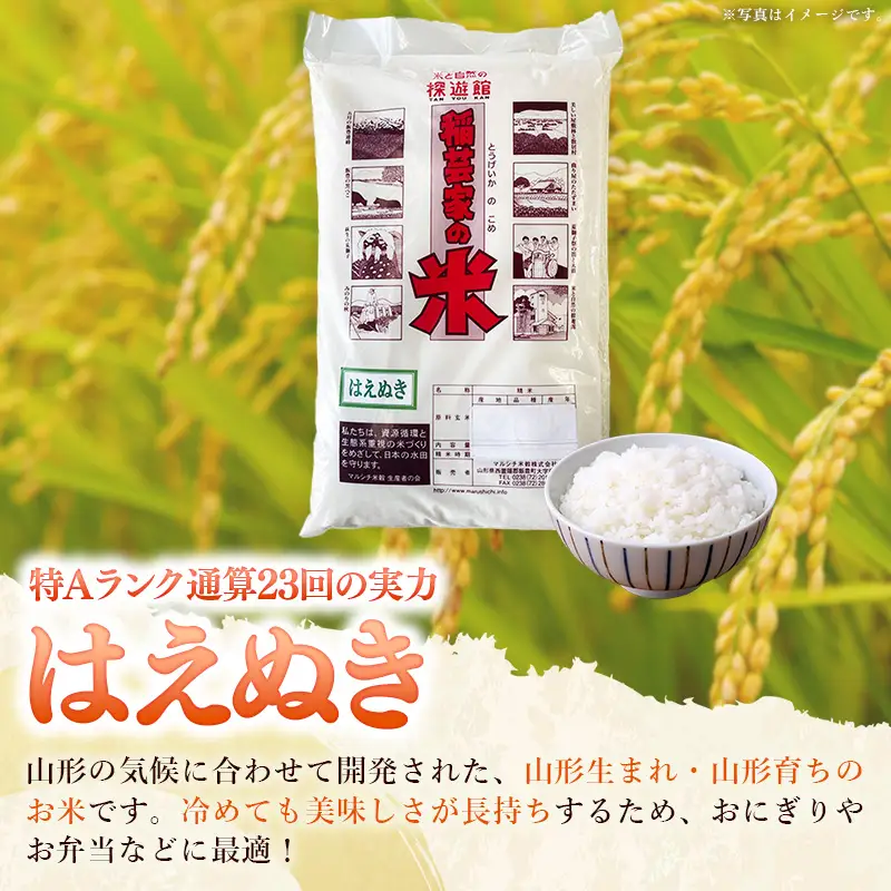 飯豊町産 はえぬき 白米 10kg (R7年産） - 数量限定 おこめ 米 ごはん もっちり 粒ぞろい 粘り 単一米 銘柄 ブランド米 おすすめ 送料無料 マルシチ米穀 山形県 飯豊町【価格改定XA】