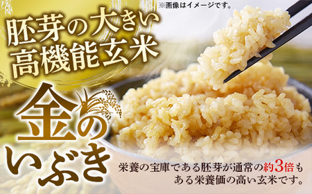 山形県飯豊町産 金のいぶき 玄米 4kg (R7年産） - 玄米ブランド 米 玄米ごはん 品種 銘柄 ブランド米 玄米食 食物繊維 ビタミン いいで農産 山形県 飯豊町【価格改定】