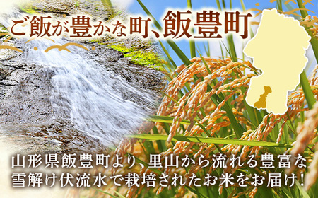 人気のブランド米 はえぬき 白米 10kg 令和7年産 - 山形県 飯豊町産 米 精米 銘柄 ブランド米 田園サービスいいで【価格改定X】
