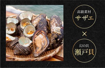 幻の貝「瀬戸貝」と高級サザエ【瀬戸貝3～4個（約1kg）・サザエ4～5個（約1kg）】【V002770】