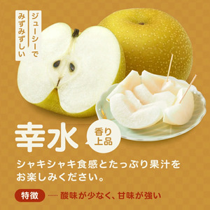 【先行受付】幸水 10～14玉 約5kg