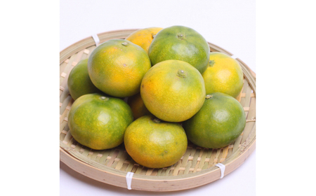 プレミアム 有田 みかん ( ゆら早生 )  2.5kg+250g（傷み補償分） / 有田みかん 甘い 柑橘 フルーツ 果物 和歌山 ※2026年10月上旬〜11月中旬頃に順次発送予定 ※北海道・沖縄・離島への配送不可【ikd003-prem-2d5A】