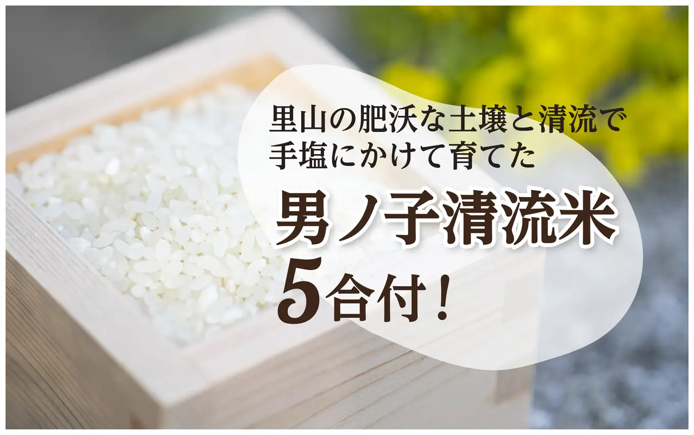 【1日1組一棟貸切】男ノ子焼の里 宿泊券（4名様まで） 【レターパック】 キャンプ 宿泊 素泊まり BBQ バーベキュー ゲストハウス 1棟貸し 4名様 お米付き 1日1組 限定 旅行 自然 アウトドア 福岡県 八女市 055-003