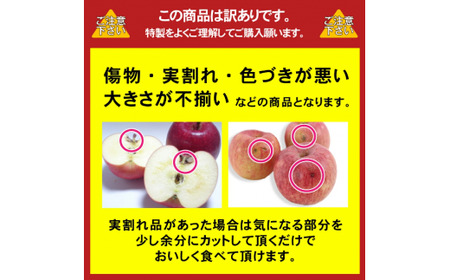 りんごサンふじ 5ｋｇ 訳あり