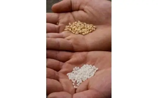 日本酒　純米大吟醸　会津の冬　720ml　ギフト　辛口　お土産　会津　喜多方　大和川酒造【07208-0664】