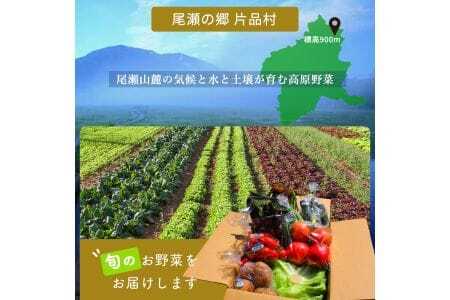 【期間限定】尾瀬の郷　野菜セット
