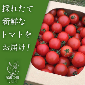 片品村産 フルティカ （トマト）約2kg
