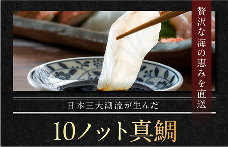 天然ブランド真鯛「10ノット真鯛」（ラウンド1.8kg前後1尾）【V002790】