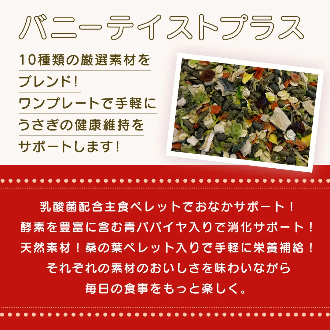 バニー テイストプラス 500g × 2袋 バニー うさぎ 小動物用フード ペットフード おやつ 乳酸菌配合 [BU031sa]