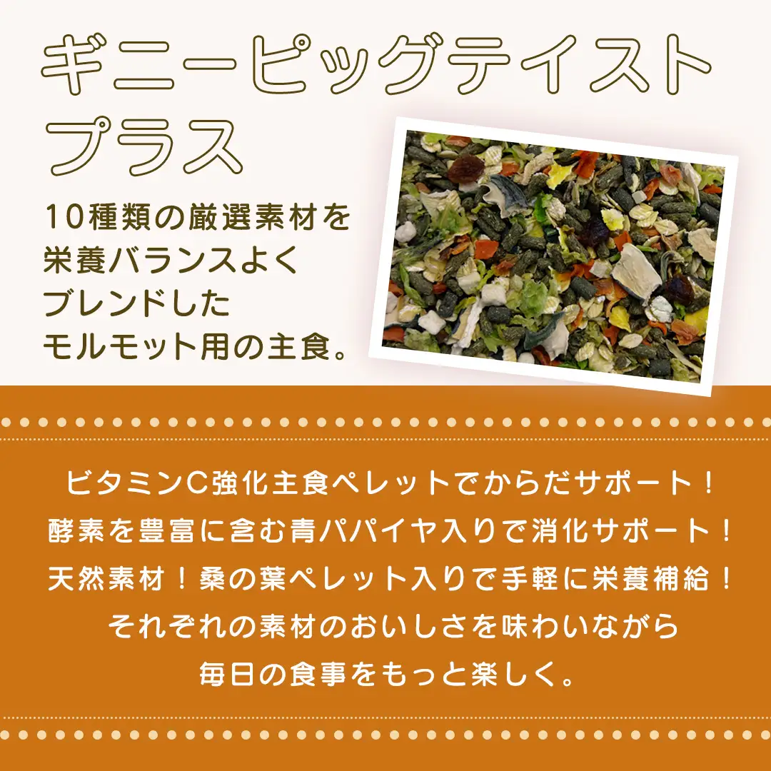 ギニーピッグ テイストプラス 500g × 2袋 ギニーピッグ モルモット 小動物用フード ペットフード おやつ ビタミンC [BU032sa]