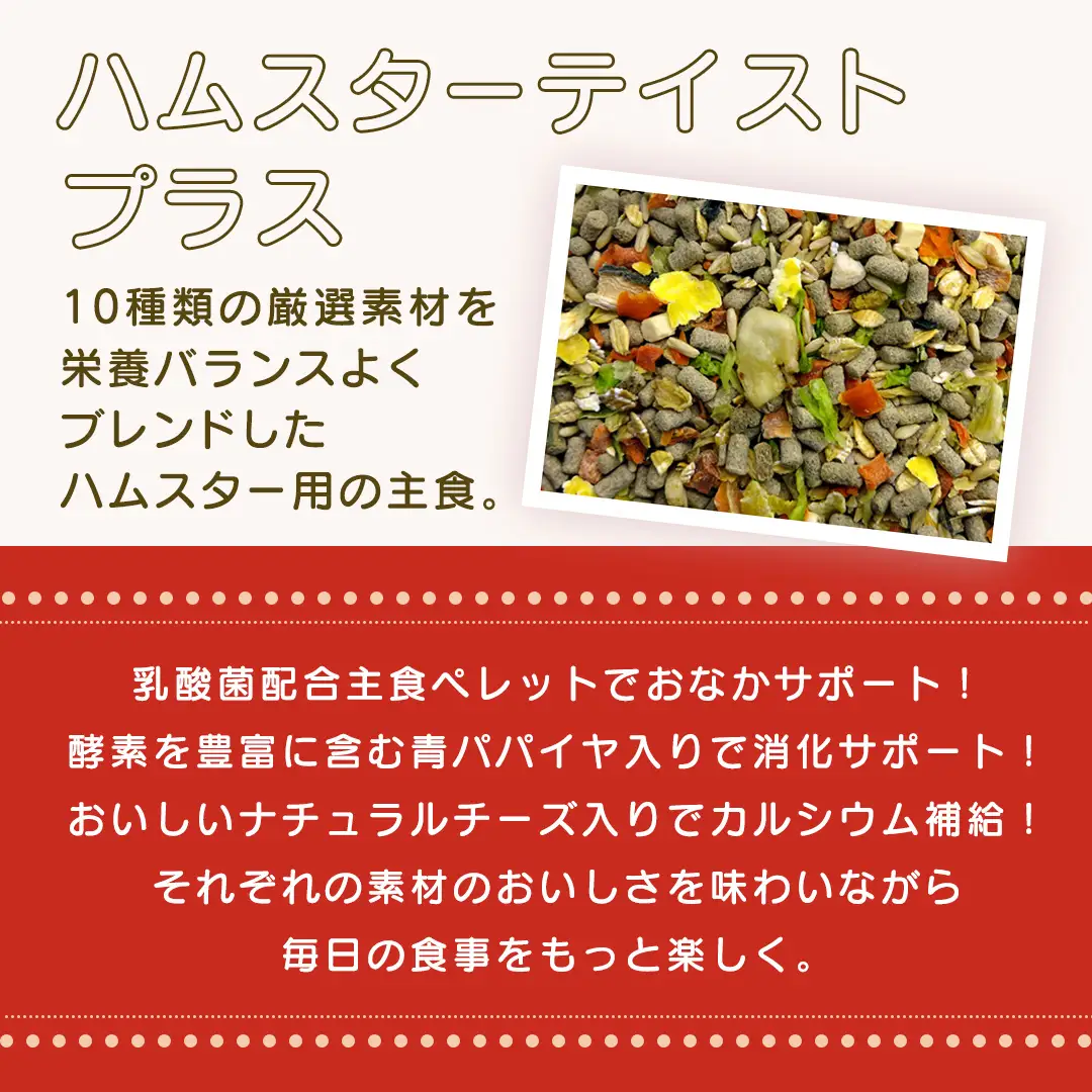 ハムスター テイストプラス 220g × 3袋 ハムスター 小動物用フード ペットフード おやつ ビタミンC  乳酸菌配合 [BU033sa]