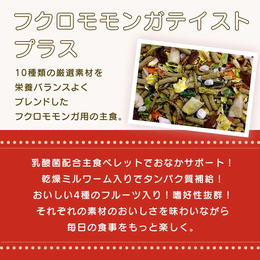 フクロモモンガ テイストプラス 220g × 3袋 フクロモモンガ 小動物用フード ペットフード おやつ 乳酸菌配合 [BU036sa]
