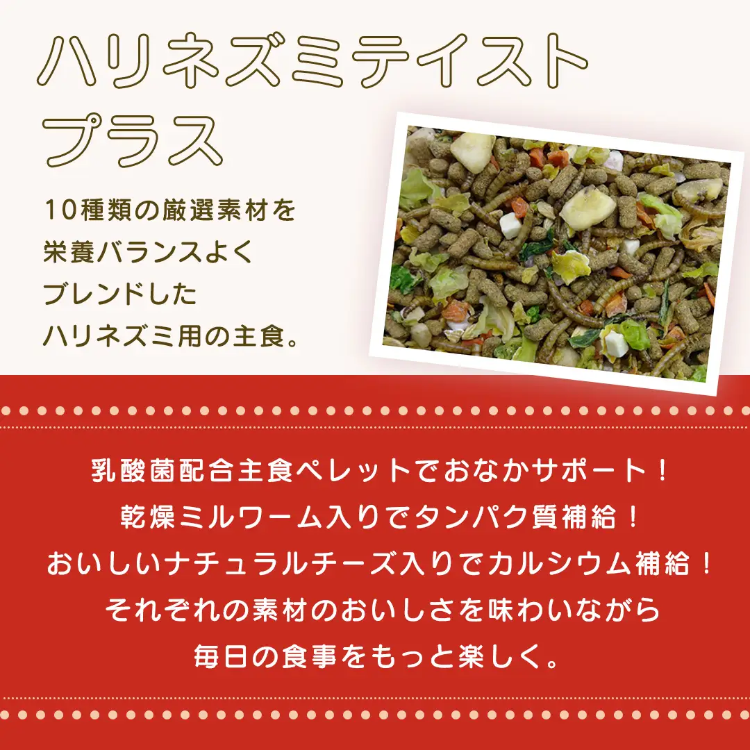 ハリネズミ テイストプラス 200g × 3袋 ハリネズミ 小動物用フード ペットフード おやつ 乳酸菌配合 [BU037sa]