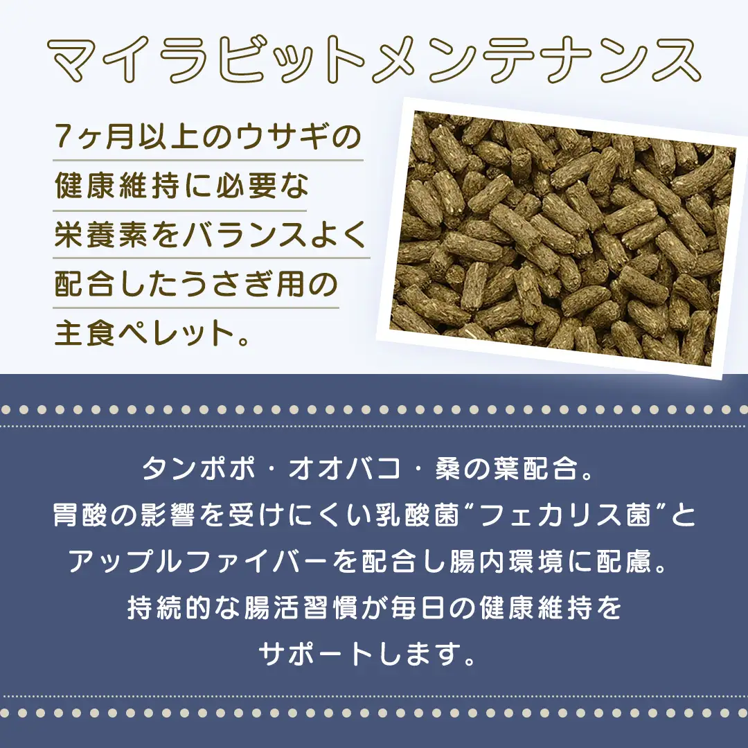 デイリープレミアム マイラビット 《メンテナンス》 810g × 2袋 うさぎ 小動物用フード ペットフード タンポポ オオバコ 桑の葉  乳酸菌配合 [BU038sa]