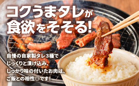 GO - ICHI MEAT 特製 ！ 味付肉 4点 詰め合わせ K151-007 肉 豚肉 鶏肉 冷凍