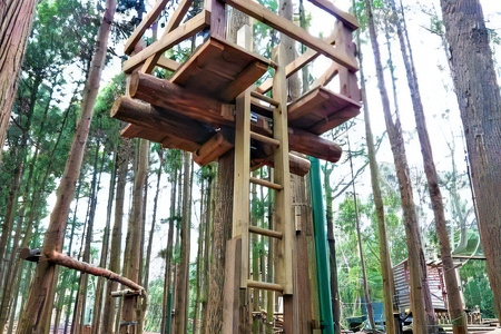 【ふるなび限定】アドベンチャーコース 参加券 (18歳以上) FN-Limited-SP｜フィールドアスレチック 大自然体験 遊具 ツリークロスアドベンチャー 本格的 ハード リラックス 滑空 非日常 爽快 都心から一番近い [0443]