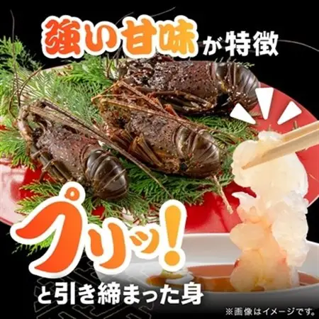 活〆冷凍伊勢海老600g【配送不可地域：離島】【1607625】