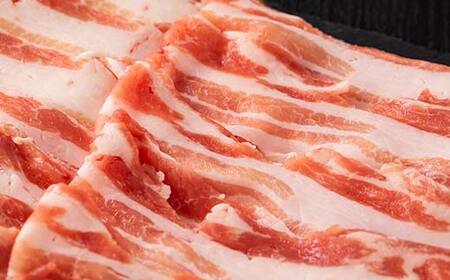 山形県 戸沢村産 戸澤豚一番育ち バラ 600g(300g×2) しゃぶしゃぶ用 豚肉 豚 肉 ポーク 国産 ブランド豚 冷凍 贈答用 贈り物 プレゼント 自宅用 家庭用  F7W-0050