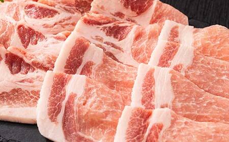 山形県 戸沢村産 戸澤豚一番育ち ロース 1.2kg(300g×4) 焼肉用 豚肉 豚 肉 ポーク 国産 ブランド豚 冷凍 BBQ バーベキュー 贈答用 贈り物 プレゼント 自宅用 家庭用  F7W-0063