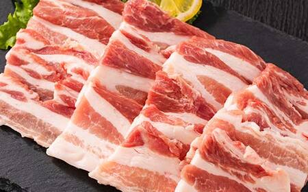 山形県 戸沢村産 戸澤豚一番育ち バラ 3kg(300g×10) 焼肉用 豚肉 豚 肉 ポーク 国産 ブランド豚 冷凍 BBQ バーベキュー 贈答用 贈り物 プレゼント 自宅用 家庭用  F7W-0071