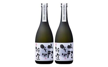 山形県 戸沢村産 戸沢村産 そば(最上早生)・米 100％使用！ そば焼酎『山形そば街道』 25度 720ml 2本セット 日本酒 焼酎 酒 さけ アルコール F7W-0035