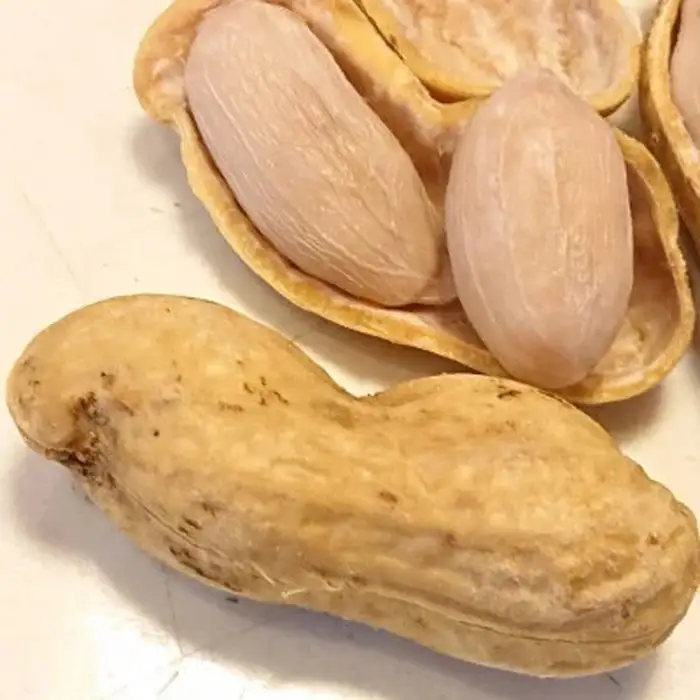 No.039 冷凍ゆで豆・おおまさり　500g×2袋