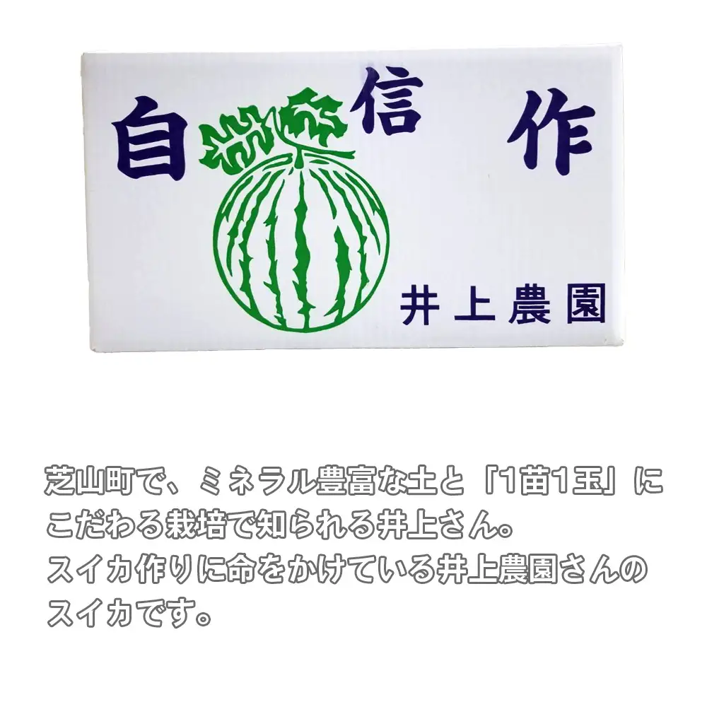 No.011 井上さんの西瓜「自信作（赤肉スイカ）」2Lサイズ以上1玉 ／ スイカ すいか 西瓜 2L 完熟 糖度 高糖度 甘い シャリ感 果物 フルーツ 旬 産地直送 お取り寄せ 贈答 ギフト 暑中見舞い 夏休み デザート 千葉県