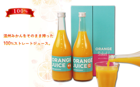 ジュース 元気がでる みかん 100％ ストレート ジュース 早生 南柑20号 各720ml × 2本 セット ORANGE Salud! オレンジサルー わせ 南柑 温州みかん みかんジュース 100%ジュース 蜜柑 mikan フルーツ ジュース 果汁 飲料 果物 くだもの 数量限定 国産 愛媛 宇和島 H010-196001