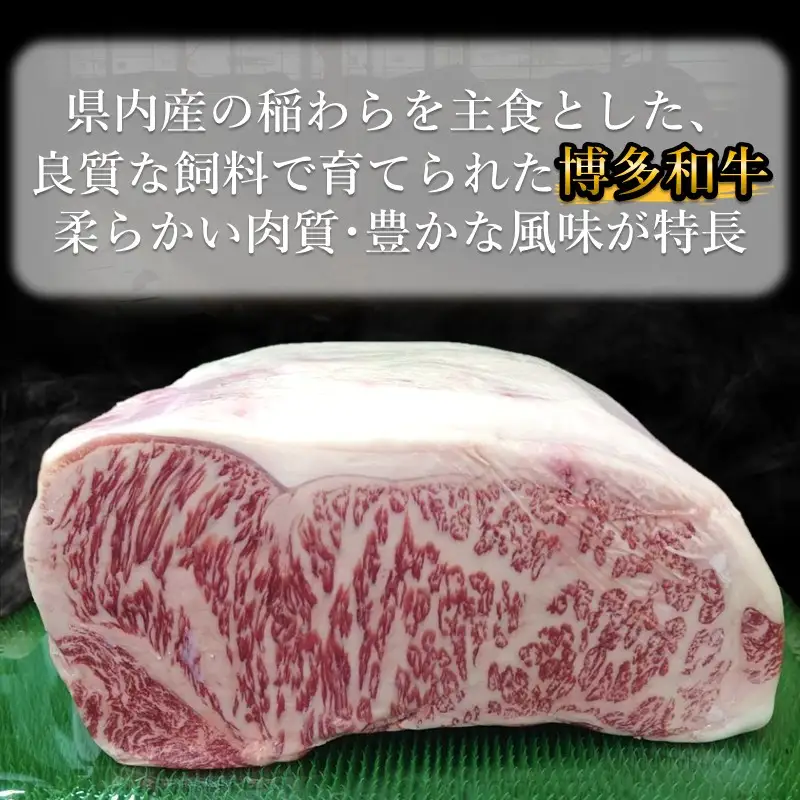 プロトン冷凍 博多和牛ロースステーキ500g【D9-006】
