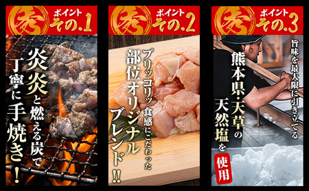 鶏 炭火焼き 焼き鳥 冷凍 110g 1袋　《30日以内に出荷予定(土日祝除く)》