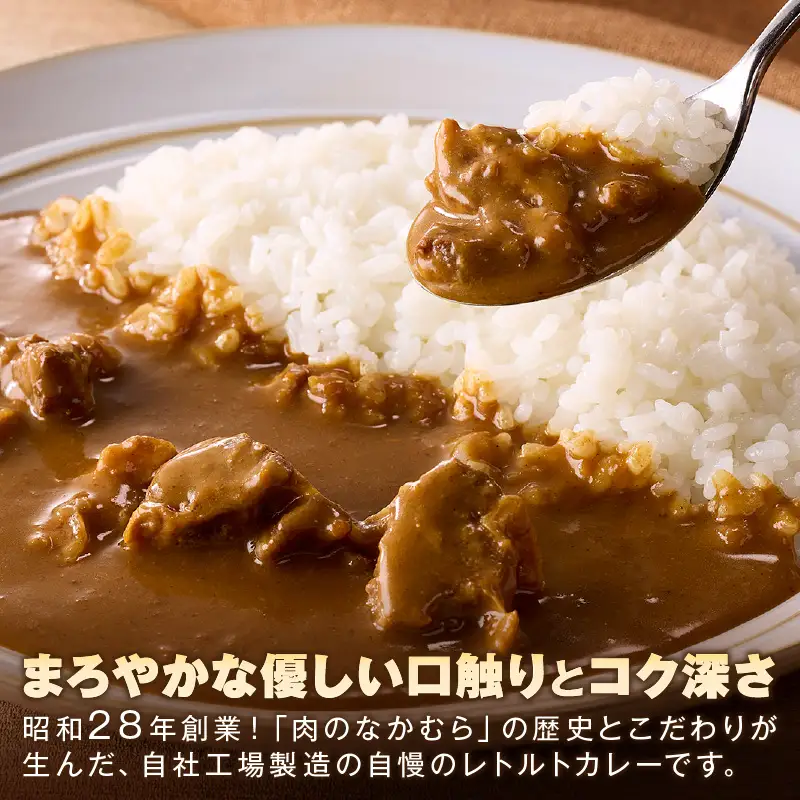「特製肉屋のカレー」ビーフカレー10食セット【B-191】