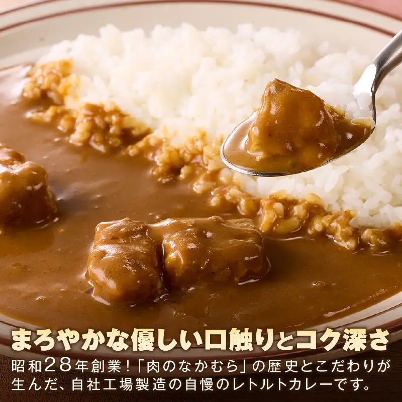 「特製肉屋のカレー」ポークカレー10食セット【B-192】