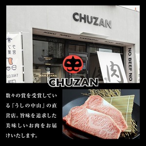 薄切り牛タン(500g×1P)  肉 牛肉 牛タン BBQ バーベキュー 焼肉 薄切り 塩味 タレ漬け a5-326