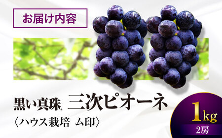 三次ピオーネ ハウス栽培 ム印 1kg（2房）[APBD001] ピオーネ