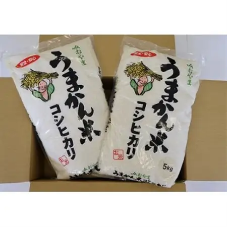 令和7年産　栃木県小山市産コシヒカリ「うまかん米」　精米5kg×2袋【1592908】