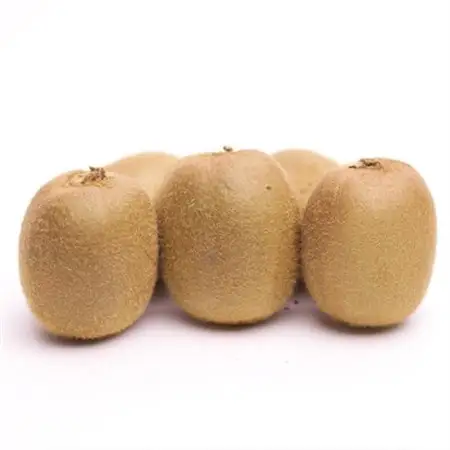 【11月より順次発送】わけあり キウイ1kg+250g(傷み補償分)【訳あり・扁平果】【配送不可地域：北海道・沖縄県】【1630231】