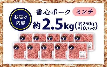 『香心ポーク』ミンチ 約250g×10パック 豚肉ミンチ[AYCK005]