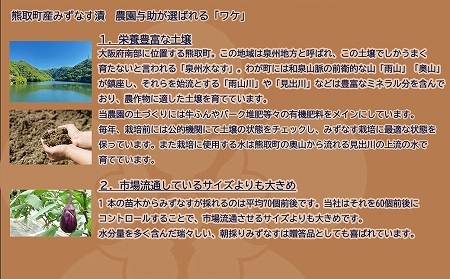 水なす漬け5個セット