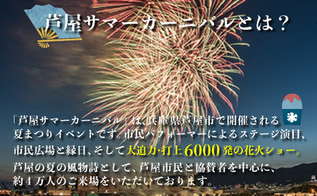 第48回 芦屋サマーカーニバル 花火観覧 ふるさと ペアシート ＜2026年8月1日開催＞