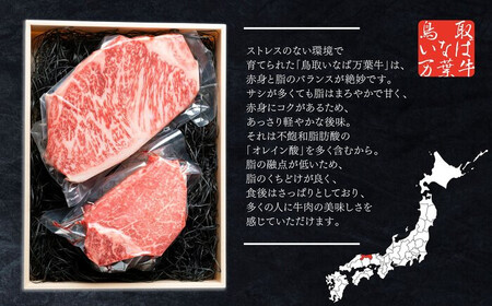 963.【定期便12回】鳥取 いなば万葉牛　シャトーブリアン・ サーロイン ステーキ セット(各150ｇ) | サーロイン