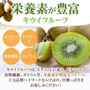 【先行予約】先行予約！和歌山県産 秀品 キウイフルーツ 大玉15個入 こだわり農家厳選 【2026年12月中旬～2027年1月中旬頃に順次発送予定】/ キウイ キウイフルーツ 果物 フルーツ おやつ【kgr021】
