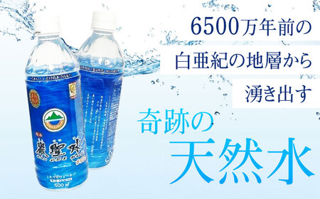 【全6回定期便】飲料 水 ミネラルウォーター 巌聖水6500 500ml×24本 広島県福山市/小林商事 ミネラルウォーター ペットボトル 500ml 24本 保存用 備蓄 防災[BAEA018]
