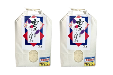 6回 定期便 米 宮城県産 ひとめぼれ 10kg (5kg ×2袋) ×6回 総計 60kg [菊武商店 宮城県 気仙沼市 20565602]