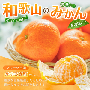【2026年秋・発送分！】 和歌山県産温州みかん　秀品　約5kg（約40個～60個入）【先行予約】【2026年11月初旬頃から2026年12月中旬頃順次発送予定】 / みかん フルーツ 果物 柑橘 和歌山【kgr032A】