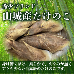 たけのこ水煮缶 3kg(6缶) 京都山城産たけのこ